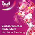 Feinwaschmittel Blütenrausch Perwoll