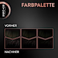 Haarfarbe 2_1 Natürliches Tiefbraun Syoss