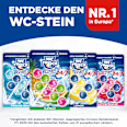 WC-Steine Kraft Aktiv Hawaii  WC-Frisch