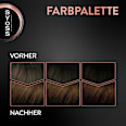Haarfarbe 4_8 Schokobraun Syoss