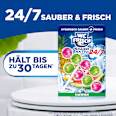 WC-Steine Kraft Aktiv Hawaii  WC-Frisch