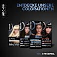 Haarfarbe 3_59 Kühles Dunkelbraun Syoss