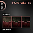 Haarfarbe 4_2 Mahagoni Syoss