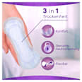 dailies Fresh & Protect Slipeinlagen Normal always