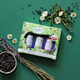 Geschenkset Badekonzentrate 3tlg Dresdner Essenz
