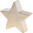 Stern champagnergold Dekorieren & Einrichten