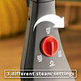 Dampfreiniger Steam Plus Vileda