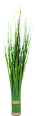 Grasbündel 60cm keine Marke