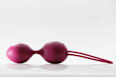 Smartballs Duo Fun Factory