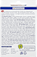 Pflasterstrips Wasserabweisend Mivolis