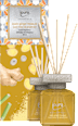Essentials Raumduft Ginger Treasure ipuro