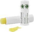 Skinfood Bio Hanf Lippenpflege BIO:VEGANE