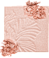 Mega Glo hajlajter u prahu - E319B Bloosom Glow wet n wild