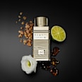 Iconiq Gold edt bugatti