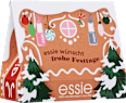 Geschenkset Weihnachten XMAS Häuschen essie