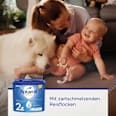 Folgemilch 2 Abendfläschchen nach dem 6. Monat Aptamil
