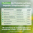 Vollwaschmittel Konzentrat Pro Climate Nature Denkmit