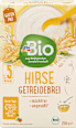 Getreidebrei Hirse ab dem 5.Monat dmBio