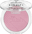 Руж the blush 10 Befitting essence