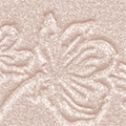 More Than Glow highlighter – 020 Supreme Rose Beam CATRICE