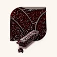 Lippenbalsam Drunk'n Diamonds Plumping 050 Bury Me In Rubies CATRICE