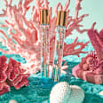 Lippenöl Bi-Phase Live Life In Coral 01 Cute, Cuter, Corals! essence