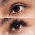Künstliche Wimpern Disney Pixar Finding Dory 010 Forget-Me-Not CATRICE