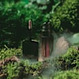Lidschatten Mystic Forest C02 Falling Leaves CATRICE