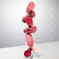 CARE IN COLOURS balzam za usne - 050 Wild Rebel CATRICE