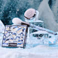 Highlighterpinsel Arctic Illusion C01 Frozen Wonders CATRICE