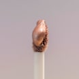 Flüssiger Lidschatten Desert Dune Shimmer C02 Endless Sands CATRICE