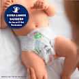 Windeln Gr. 4 Maxi (9-14 kg)  HiPP Babysanft