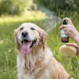 Fellpflege Spray für Hunde Greendoor