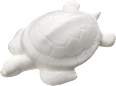 Schildkröte, weiß/glänzend BOLTZE