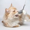 Katzenspielzeug Angel "magische Maus" Catlabs