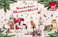 Adventskalender für Katzen Wunderbare Miaunachtszeit Dein Bestes