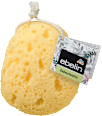 Fürdőszivacs, többféle ebelin