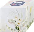 Box fazzoletti XXL 4 veli assort. Soft&Sicher