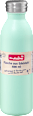 Flasche aus Edelstahl 600ml mint Profissimo