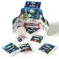 Adventskalender Tee dmBio