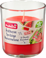 Duftkerze im Glas spritzige Wassermelone Profissimo