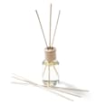 Odorizant pentru toaletă cu parfum de lămâie și pin Profissimo