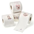 Toilettenpapier Saison 3lagig 8x180 Blatt Sanft&Sicher