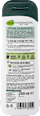 Duschgel 4in1 Ginger Energy alverde MEN
