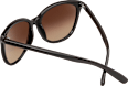Sonnenbrille Erwachsene schwarz mit braun getönten Gläsern SUNDANCE