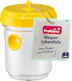 Wespenfalle Profissimo
