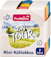 Mini Kühlakkus on tour  Profissimo