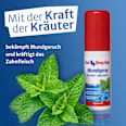 Mundspray mit Alkohol One Drop Only