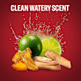 deodorant sprej Whitewater Old Spice