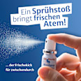 Mundspray mit Alkohol One Drop Only